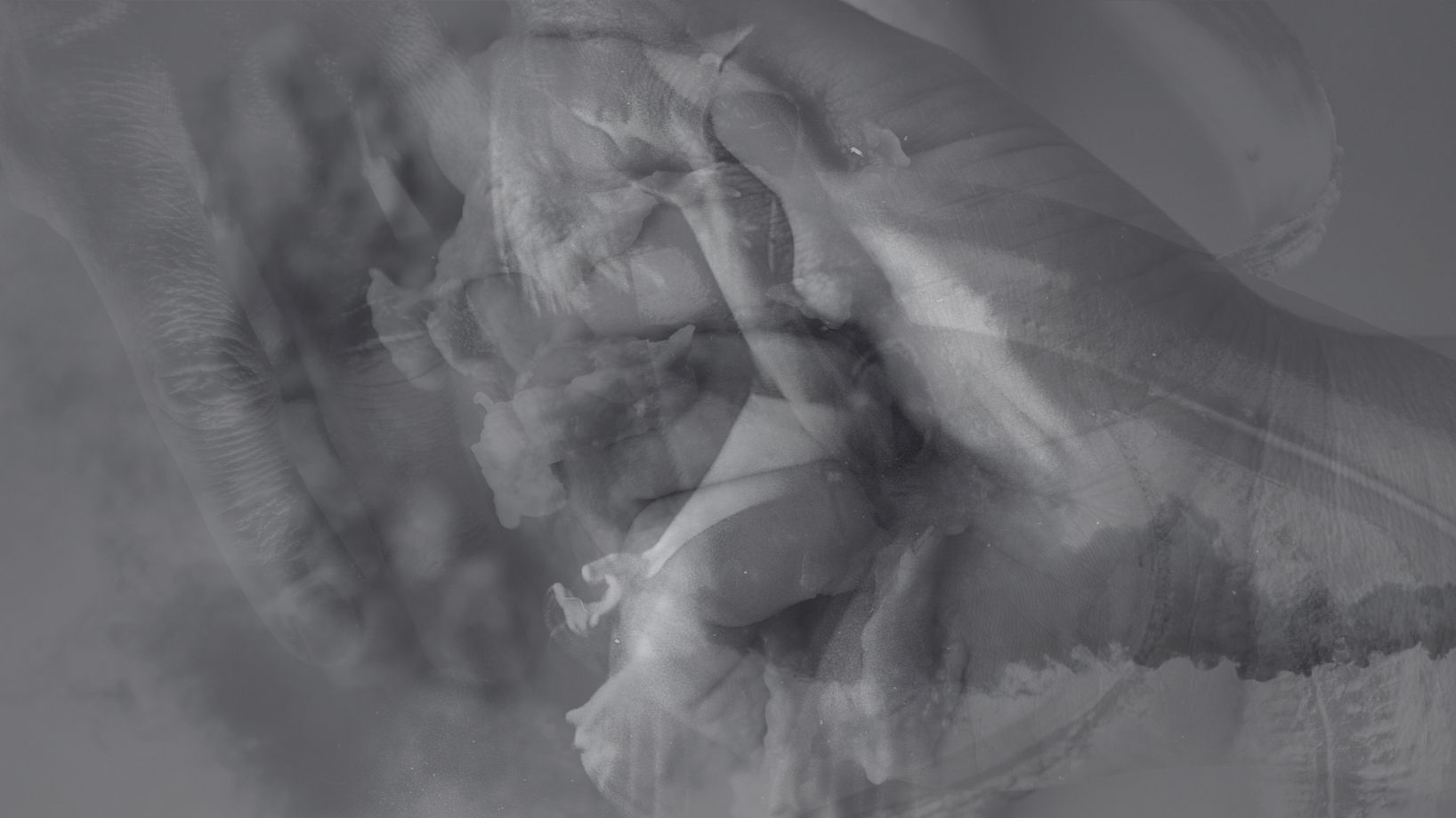 translucent b&w pictures of human body parts layered on top of each others