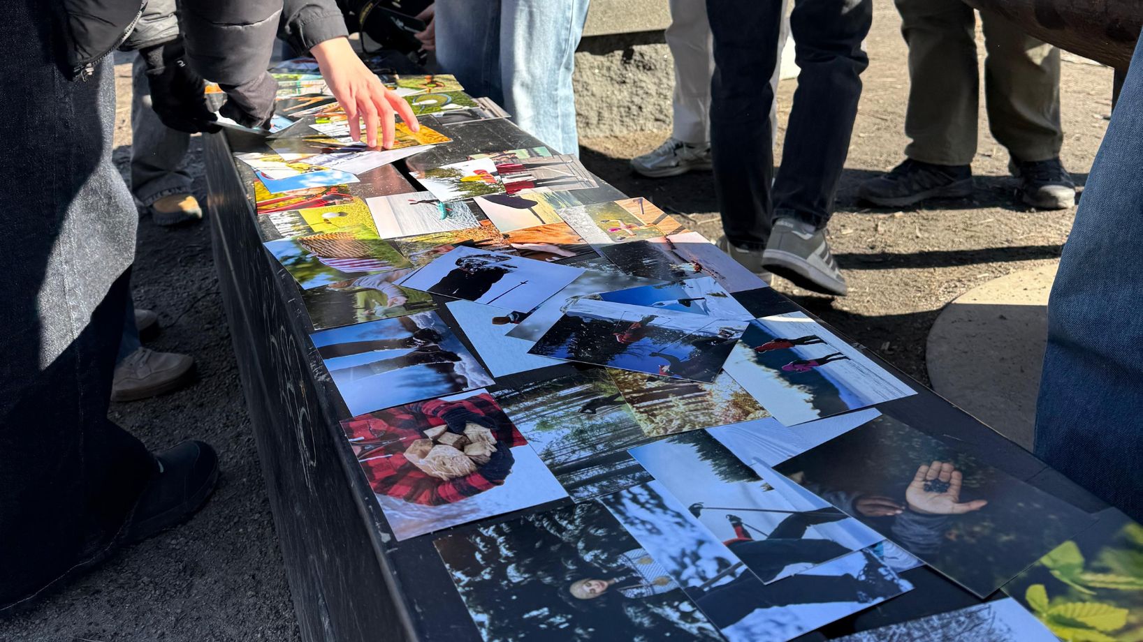 Opiskelijat tutustumassa luontoaiheisiin kortteihin