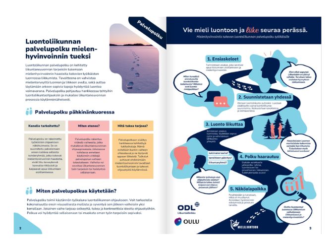 Mieliluontoon toimintamalli